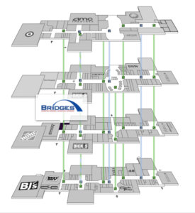 OPWDD (Office for People with Developmental Disabilities) - BRIDGES